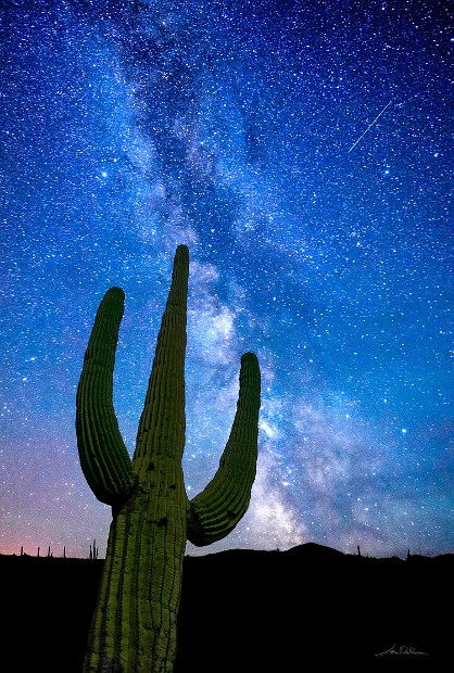 Milky Way Over Saguaro 20x30
