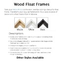 Metal Float Frames.jpg